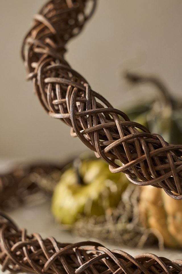 Rattan Vine Coiled Snake #2