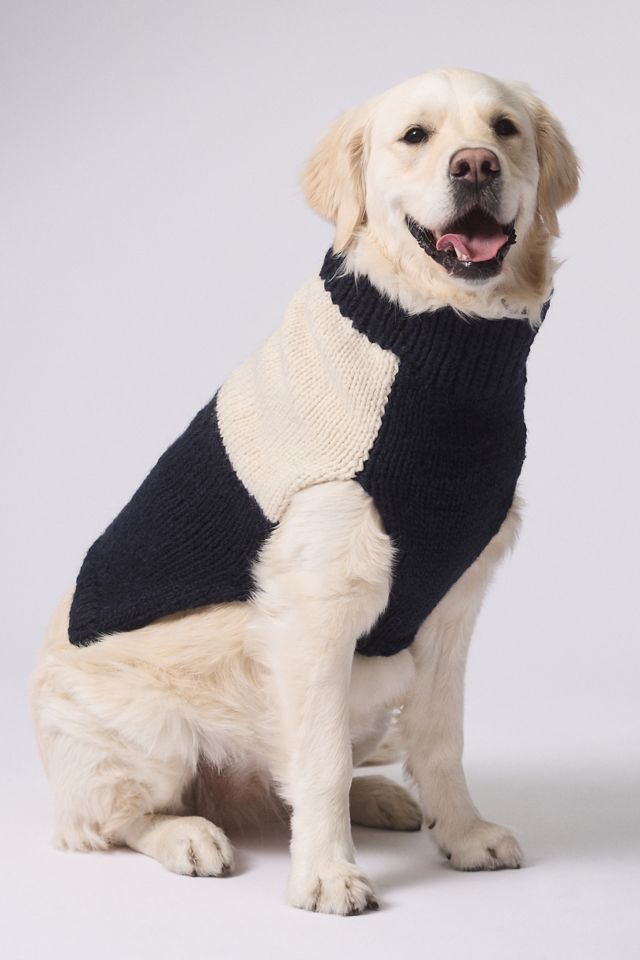 Checkered Dog Sweater #1