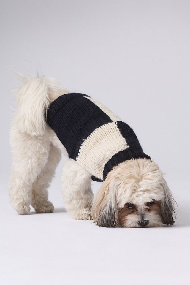 Checkered Dog Sweater #2