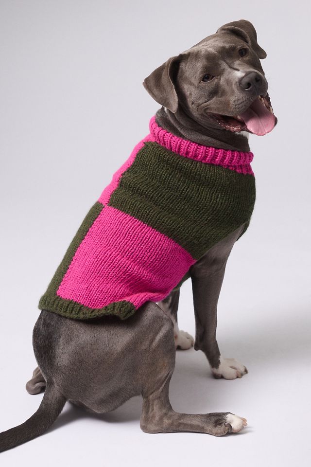 Checkered Dog Sweater | Anthropologie