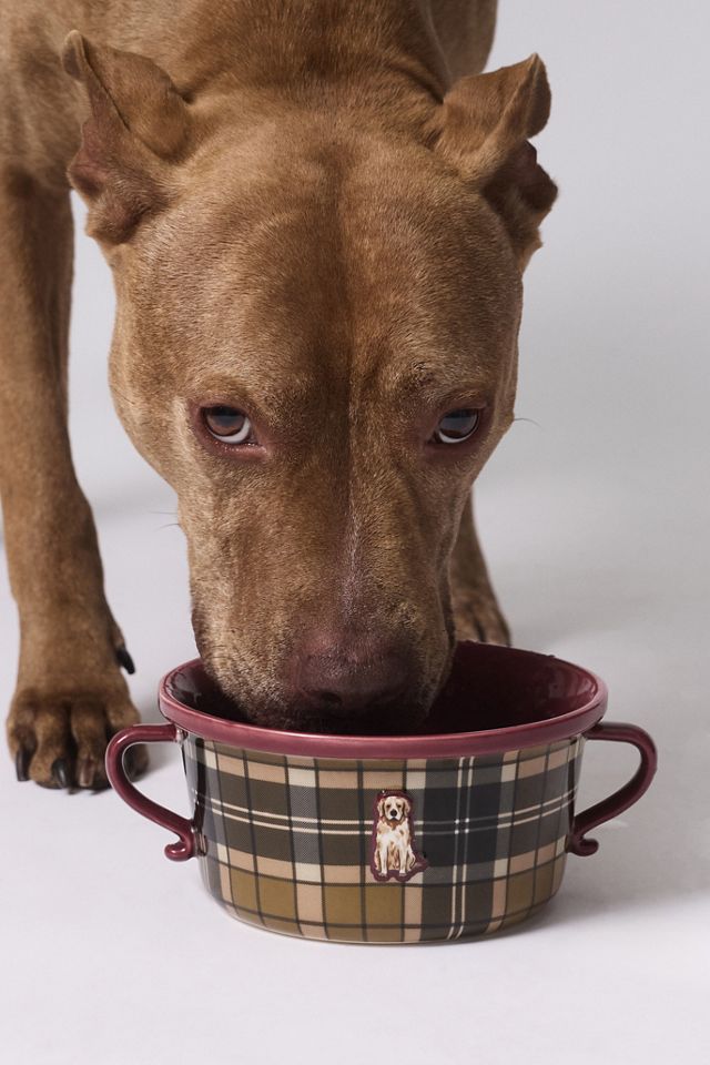 Barbour Pet Bowl #3