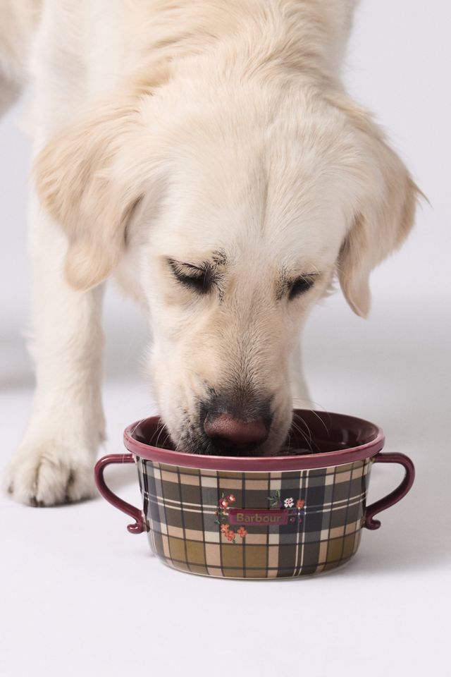 Barbour Pet Bowl #2
