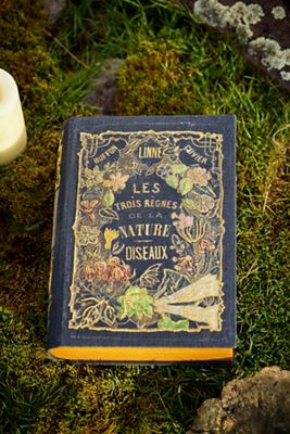 Halloween Spell Book Linen-Wrapped Box