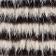 Black/White Stripe