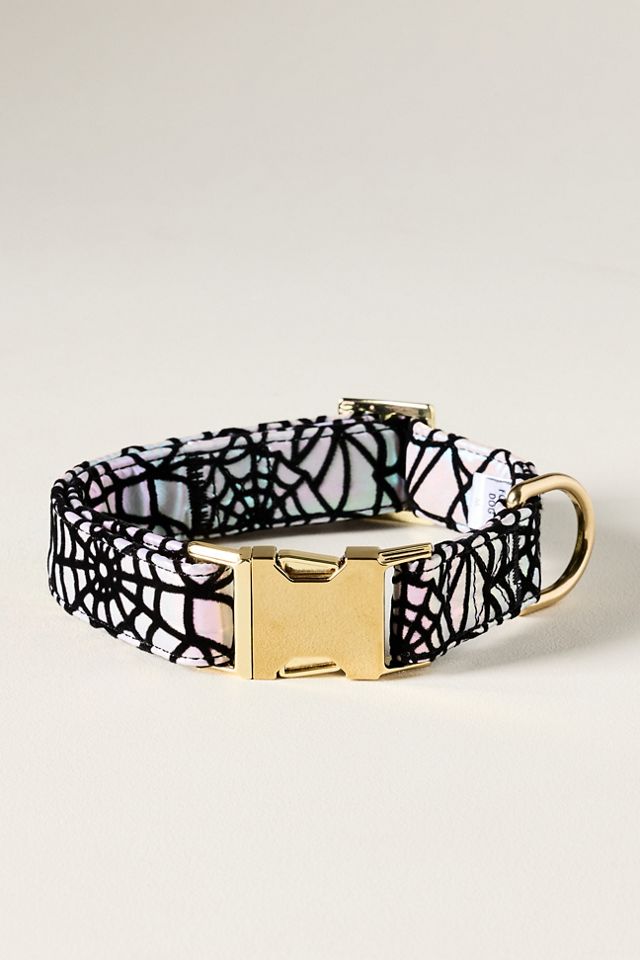 Holographic Spiderweb Dog Collar #1