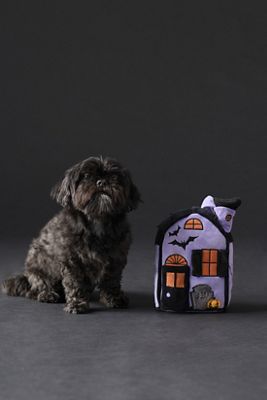 Haunted House Interactive Snuffle Dog Toy