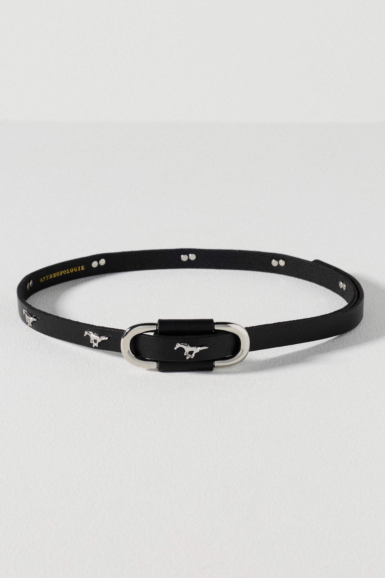 Blake Studded Belt