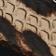 Leopard Croco