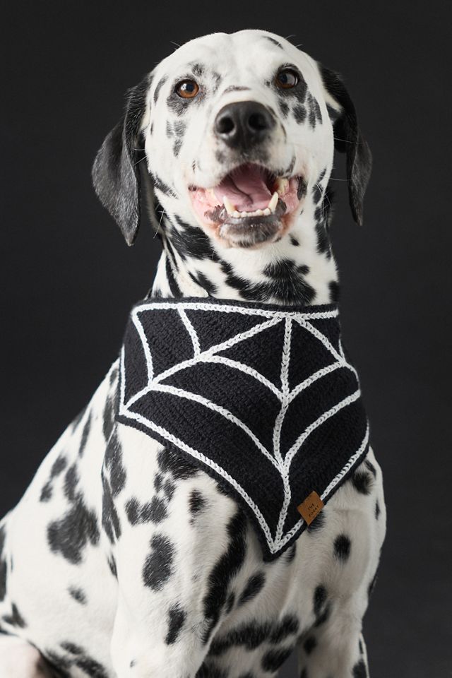 Spiderweb Crochet Pet Bandana #1