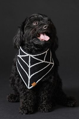 Spiderweb Crochet Pet Bandana