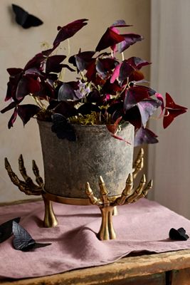 Brass Skeleton Hand Plant Stand