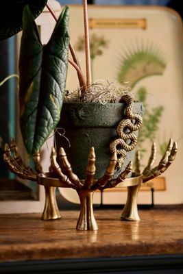 Brass Spider Plant Stand | Terrain