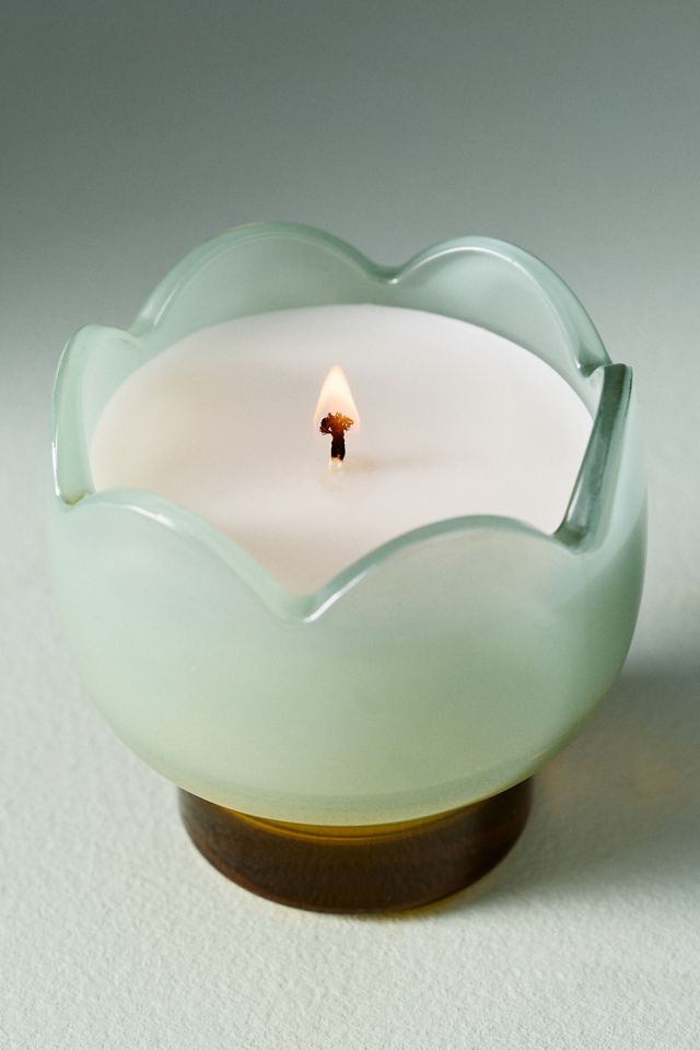 Fresh Wisteria & Willow Glass Candle #2