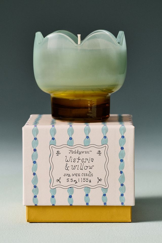 Fresh Wisteria & Willow Glass Candle | AnthroHome