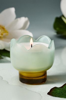 Fresh Wisteria & Willow Glass Candle