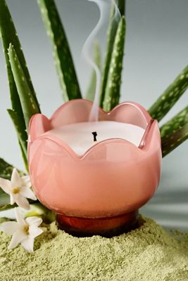 Fruity Cactus Flower Glass Candle