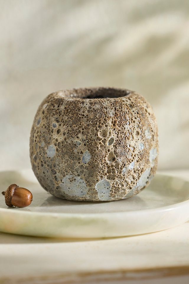 Barnacle Mini Pumpkin Planter #1