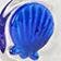 Seashell