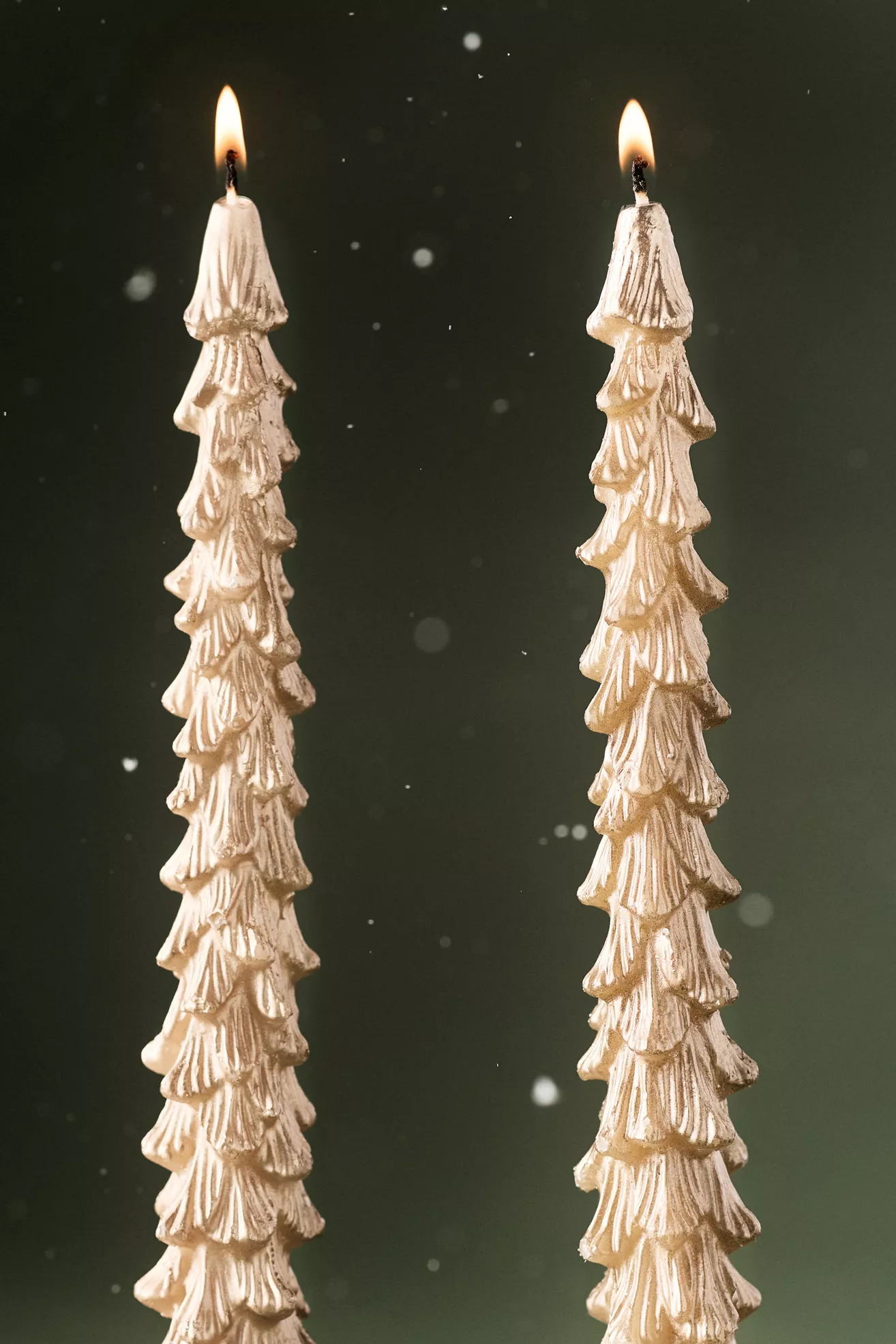 Golden Tree Tapers, Set of 2