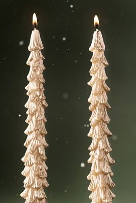 Golden Tree Tapers, Set of 2
