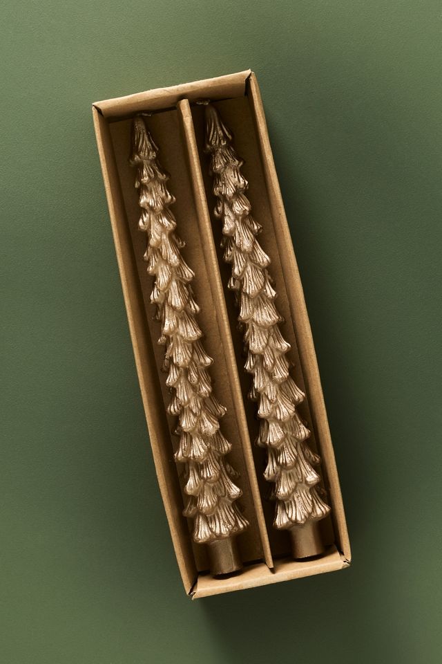Golden Tree Tapers, Set of 2 #1