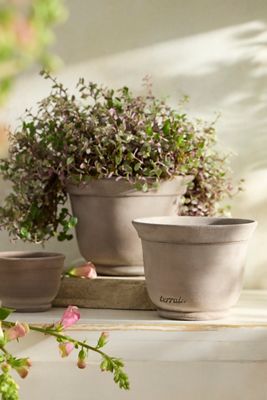 Grey Taper Galestro Pot