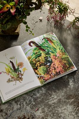 Terrain: The Container Garden Book