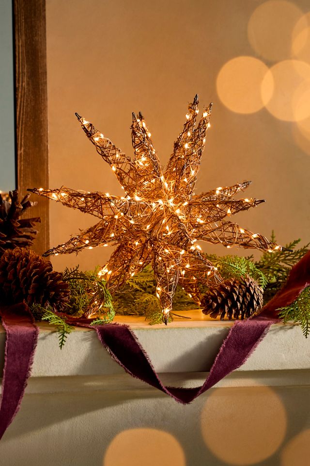Illuminated Vine Moravian Star #2