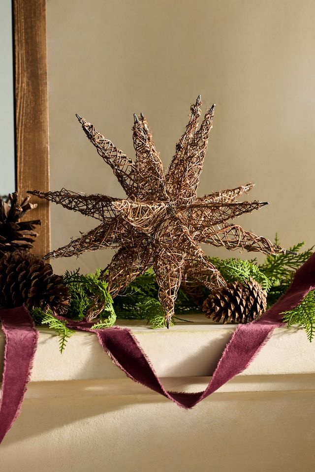 Illuminated Vine Moravian Star #3