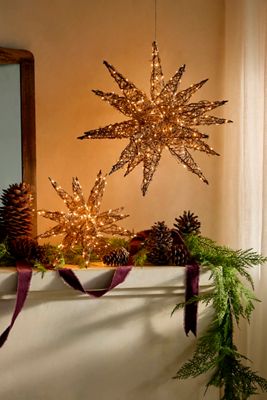 Illuminated Vine Moravian Star