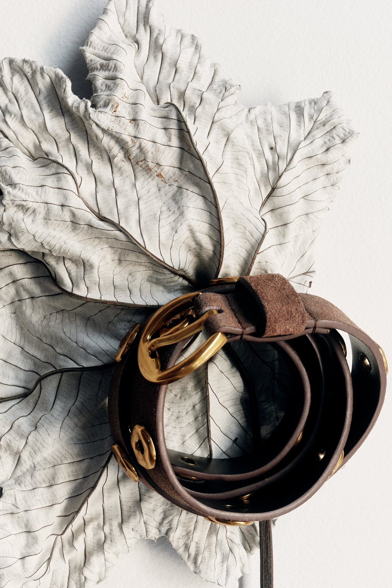 By Anthropologie Circle Studded Belt