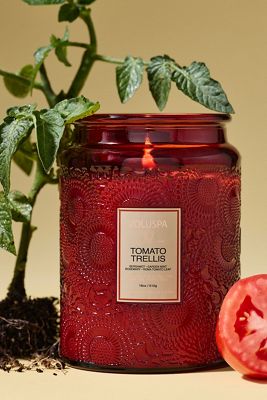 Voluspa Fresh Tomato Trellis Glass Jar Candle