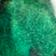 Emerald Green