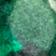 Emerald Green