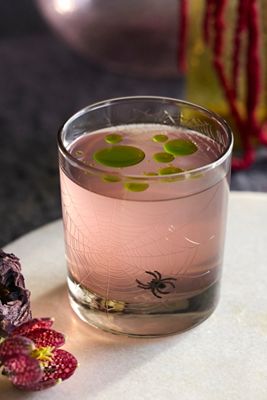 Etched Spider Double Old Fashioned Glass