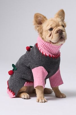 BarkBarkBaby Cherry Kiss Dog Sweater