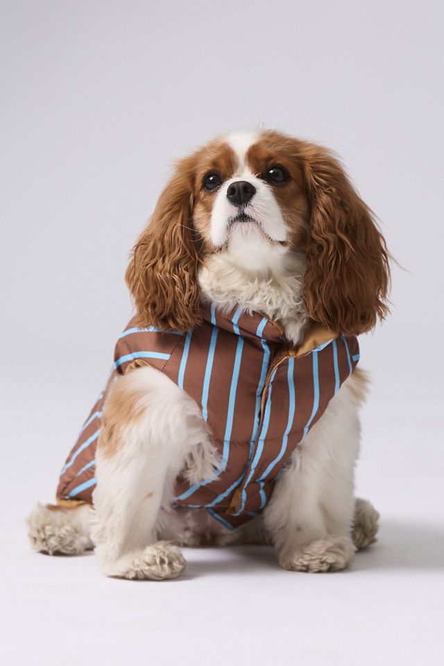 Chelsea Down Dog Parka Jacket #1