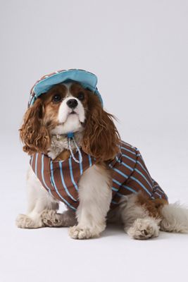 BarkBarkBaby Chelsea Down Dog Parka Jacket and Hat