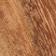 Cedar
