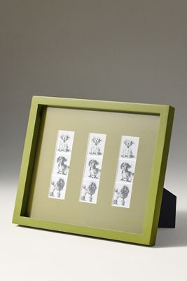 Color Drenched Photo Strip Frame