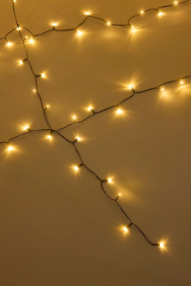 Giant Illuminated LED Spider Web #2