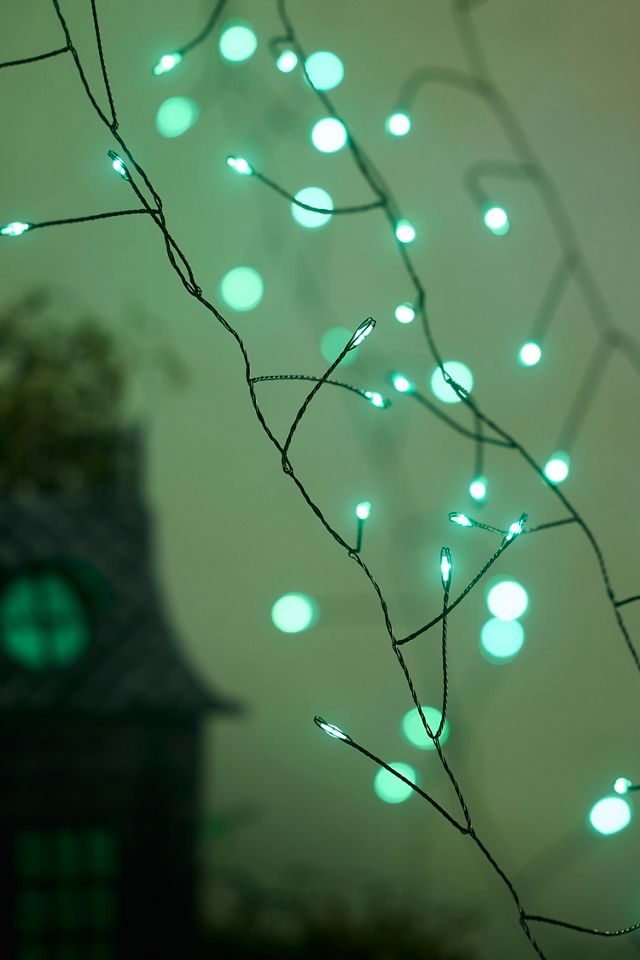Stargazer Ghostly Green Cascade Falls #1