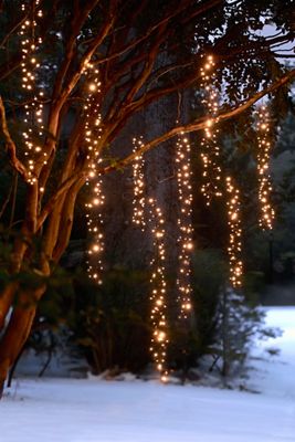 Stargazer Twinkling Cascade Drops