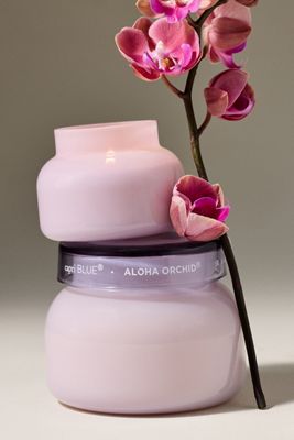 Capri Blue Floral Aloha Orchid Glass Jar Candle