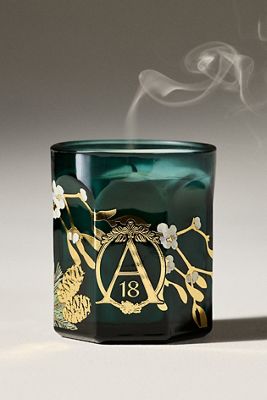 Apothecary 18 Woody Mistletoe & Moss Boxed Glass Candle