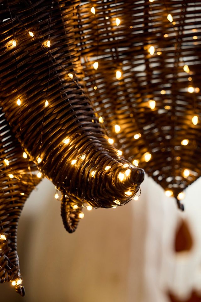 Illuminated Vine Bat #1