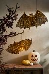 Illuminated Vine Bat