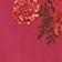 Pink Floral