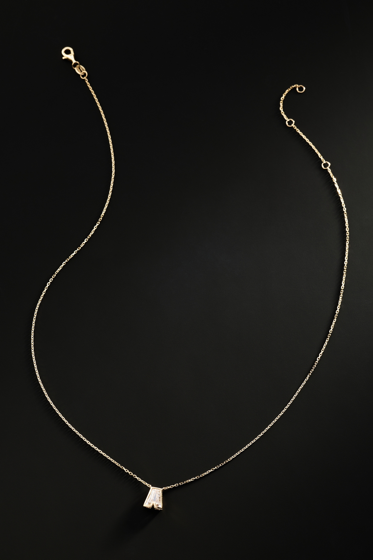 Orianne Lab Grown Diamond Initial Bezel Necklace