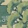 Green Pattern